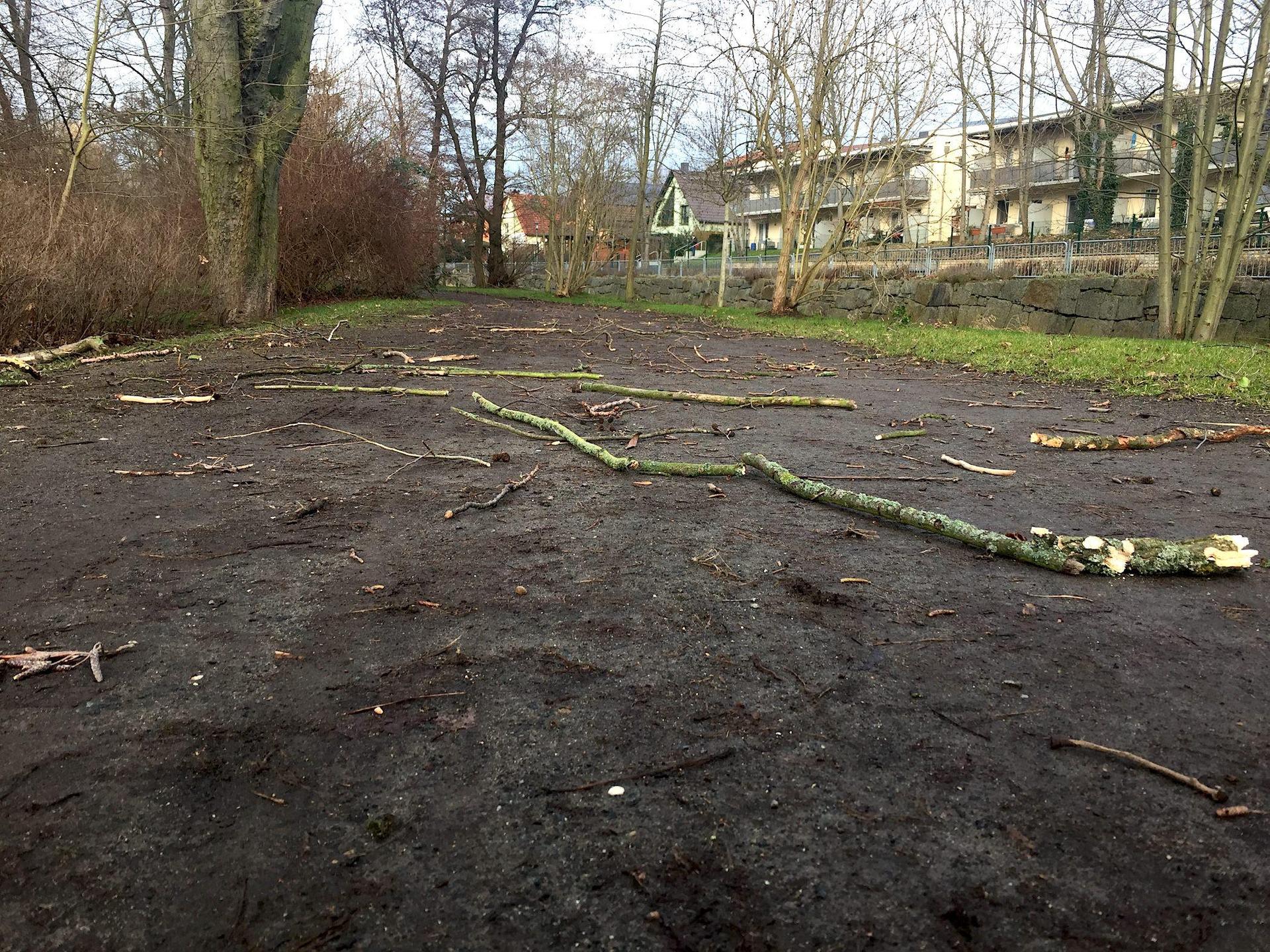 Durch Tauchas Park zu spazieren, kann derzeit gefährlich sein. Zumindest aber teuer. (Foto: taucha-kompakt.de)