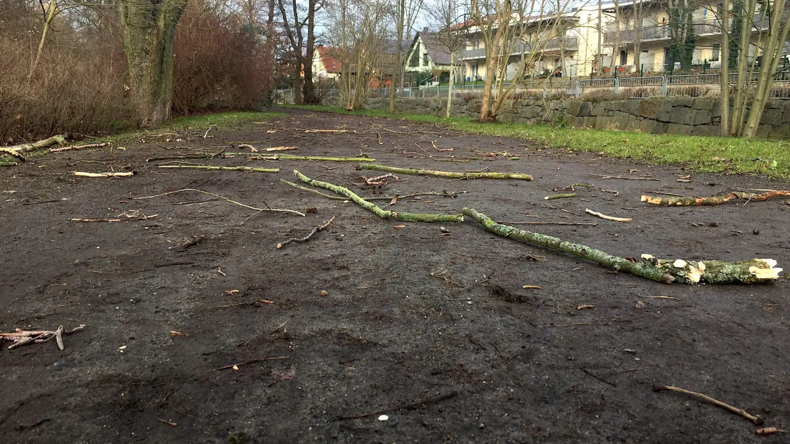Durch Tauchas Park zu spazieren, kann derzeit gefährlich sein. Zumindest aber teuer. (Foto: taucha-kompakt.de)