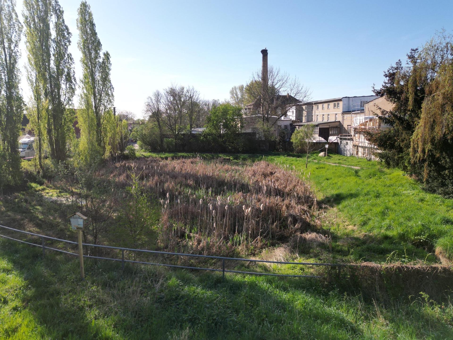 Der Dewitzer Dorfteich gehört bald wieder der Stadt (Foto: Daniel Große)