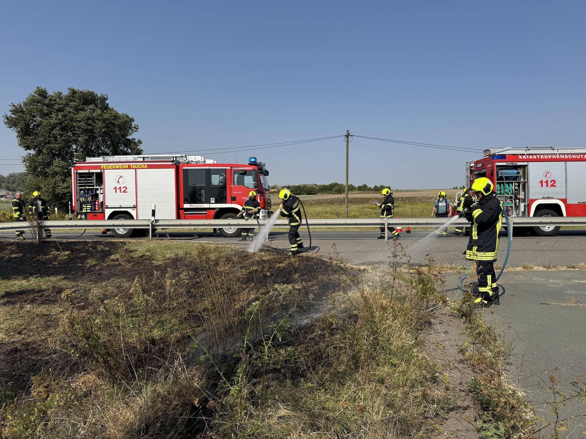 Flächenbrand an der B87, Ecke Eilenburger Straße, am 5. September 2024. (Foto: Daniel Große)