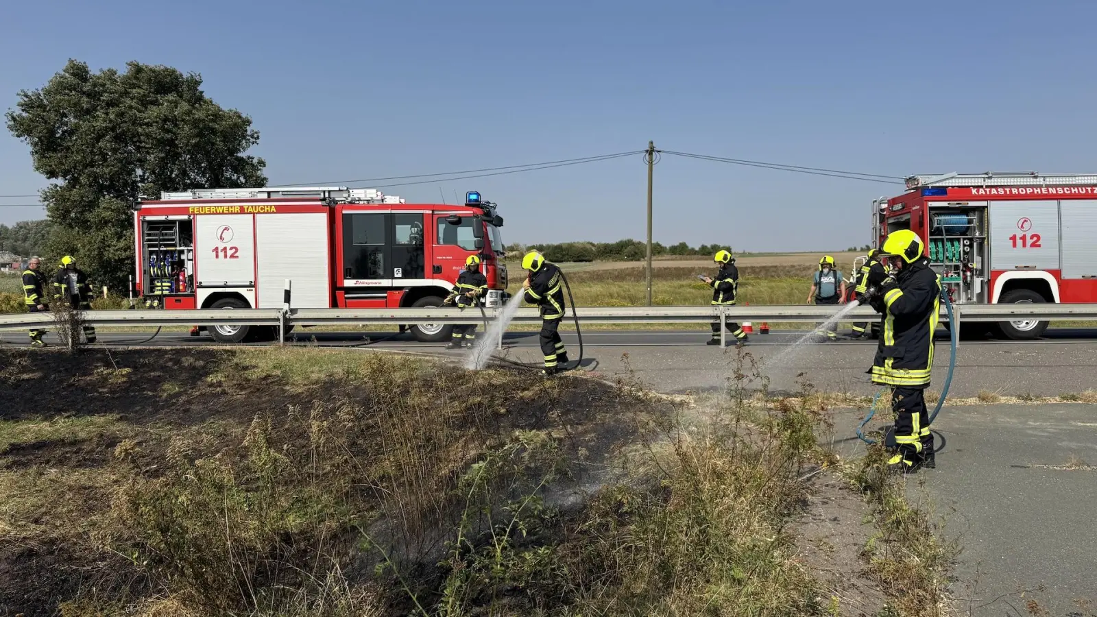 Flächenbrand an der B87, Ecke Eilenburger Straße, am 5. September 2024. (Foto: Daniel Große)