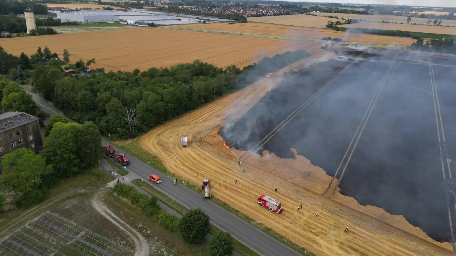 Riesiges Feld in Borsdorf brennt (Foto: taucha-kompakt.de)