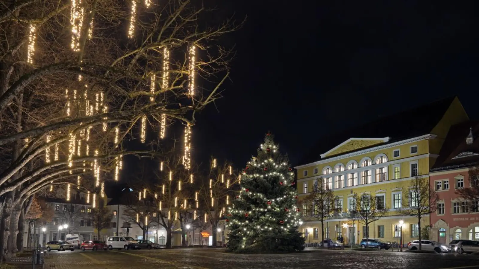 Weihnachtsbaum für Adventsmarkt Delitzsch gesucht (Foto: nordsachsen24.de)