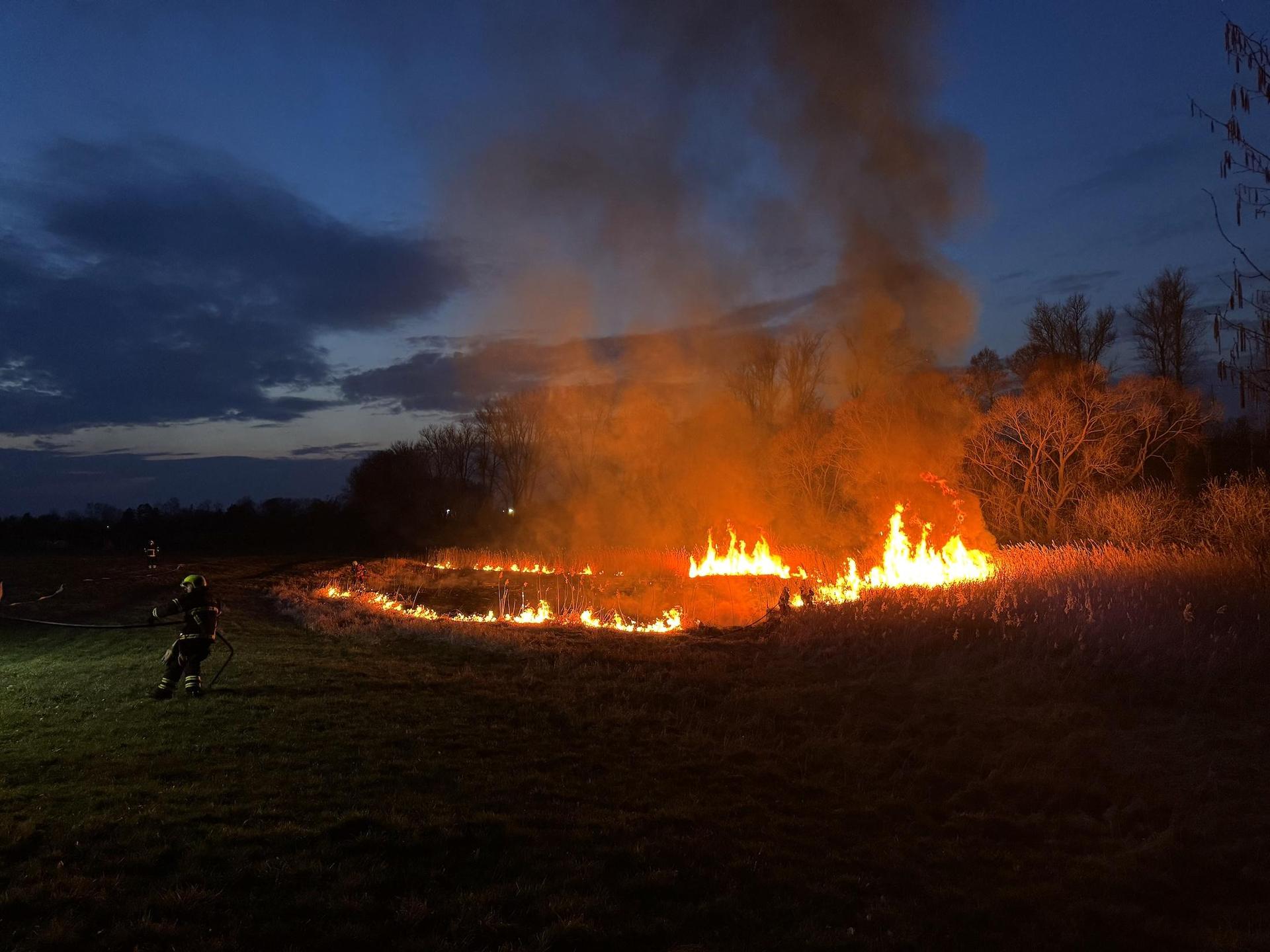 Auf rund 400 Quadratmeter brannte in Plösitz heute Abend ein Teil einer Wiese zwischen Plösitzer Weg und Parthe. (Foto: Daniel Große)