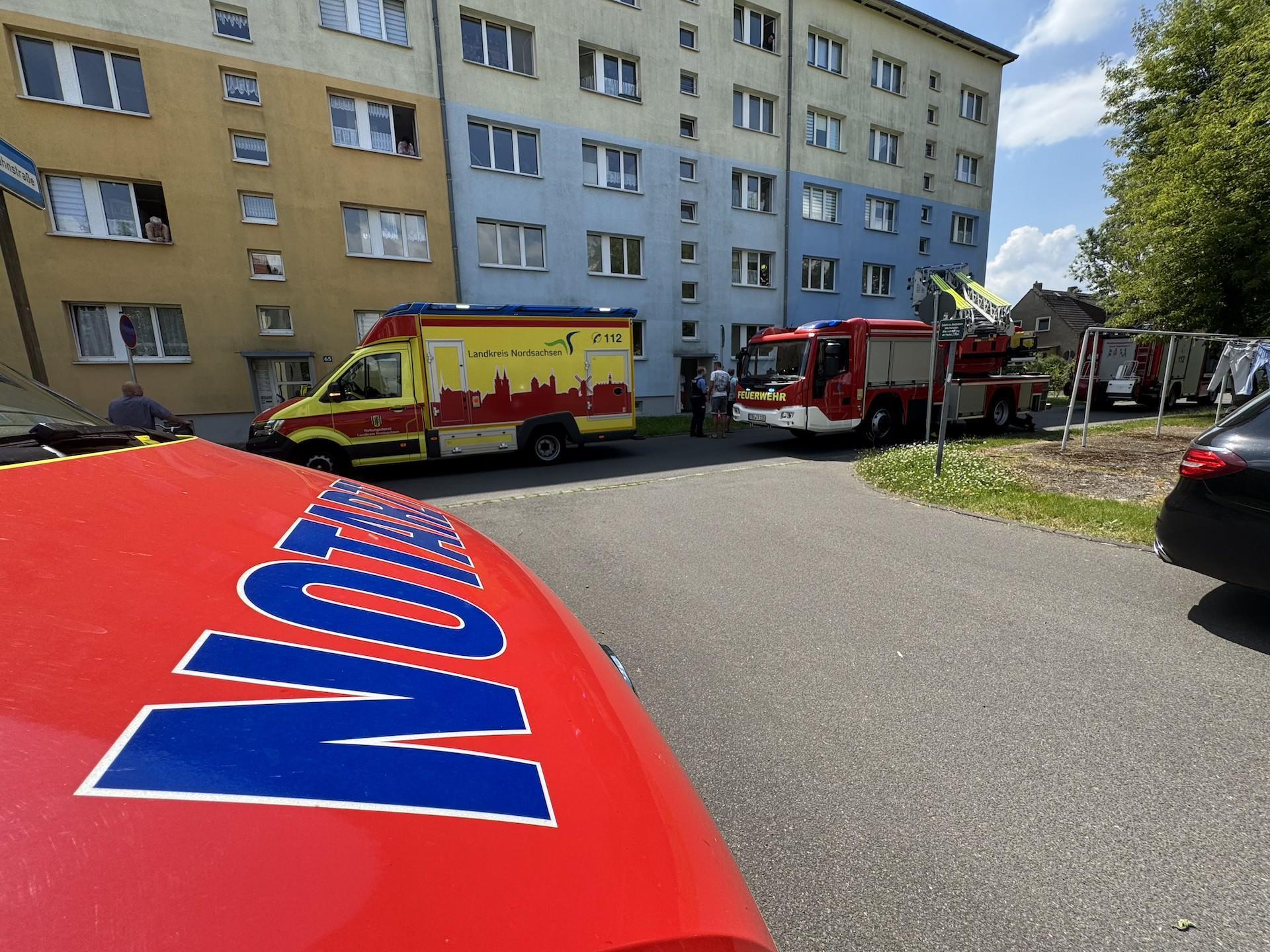 Diverse Rettungskräfte waren im Einsatz. (Foto: Daniel Große)