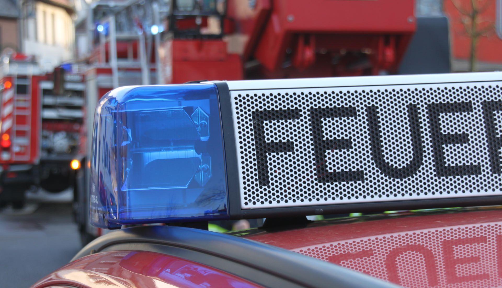 Brandstiftung am Veitsberg - Telefonkabel beschädigt (Foto: taucha-kompakt.de)
