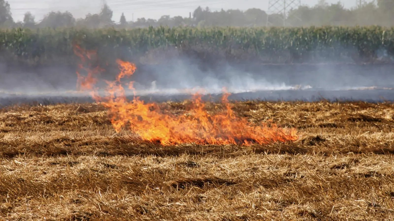 Archivfoto (Foto: taucha-kompakt.de)