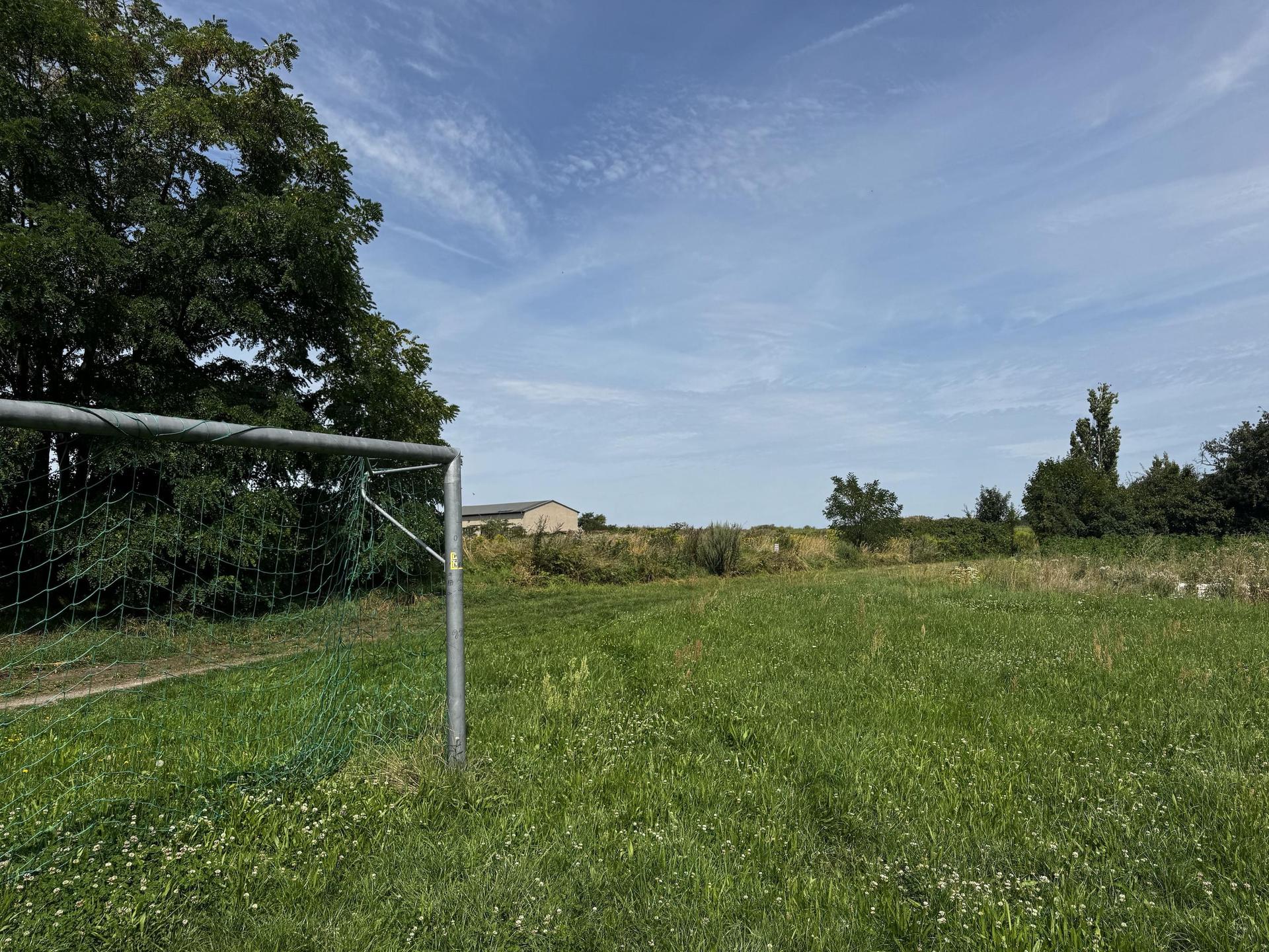 Rings um den Sportplatz in Pönitz soll aufgeräumt werden. Vor allem Grünschnitt wird hier immer wieder illegal entsorgt. (Foto: Rösl GmbH)