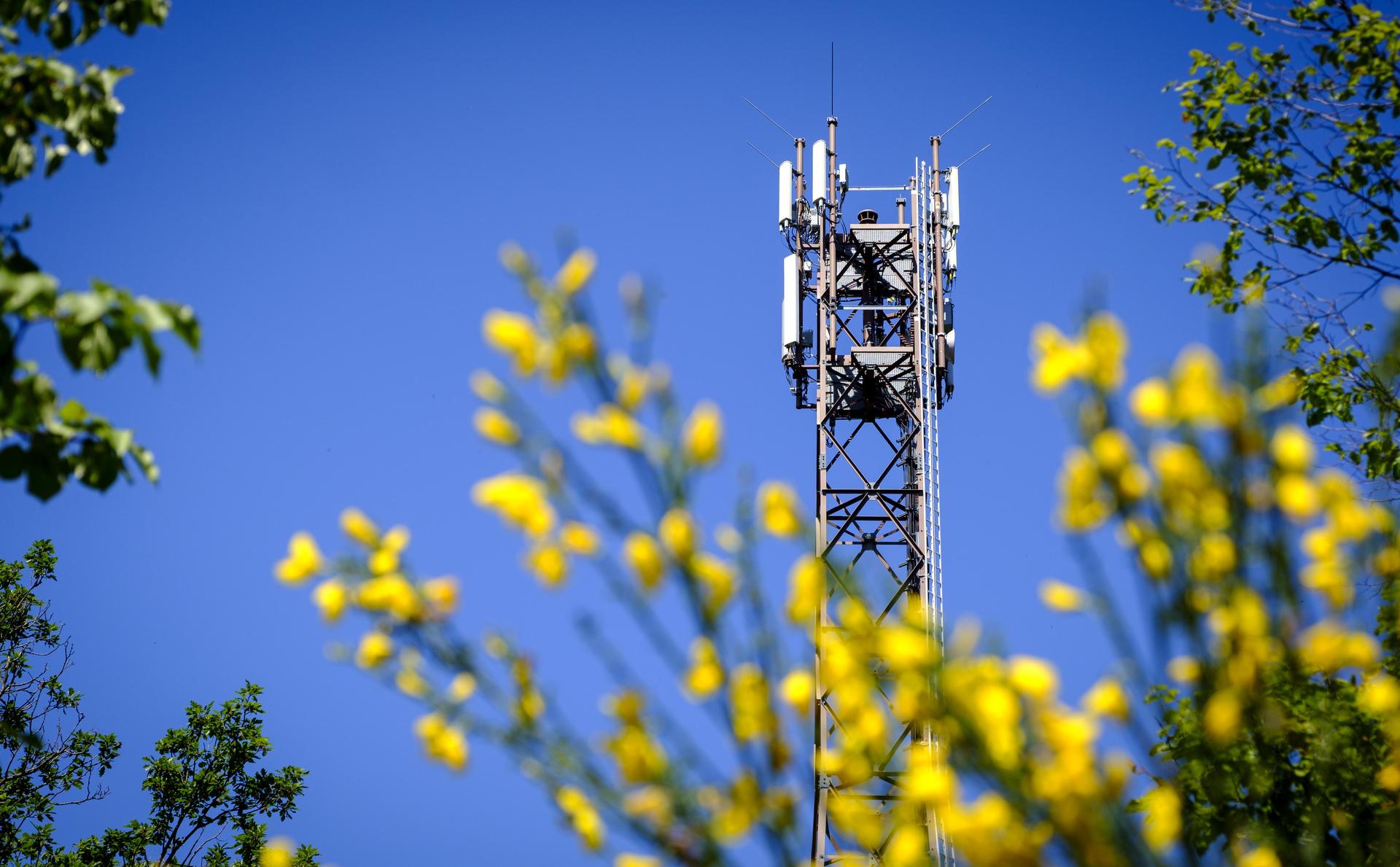 Funkturm der DFMG<br> (Foto: Deutsche Telekom AG **DFMG Deutsche Funkturm GmbH)