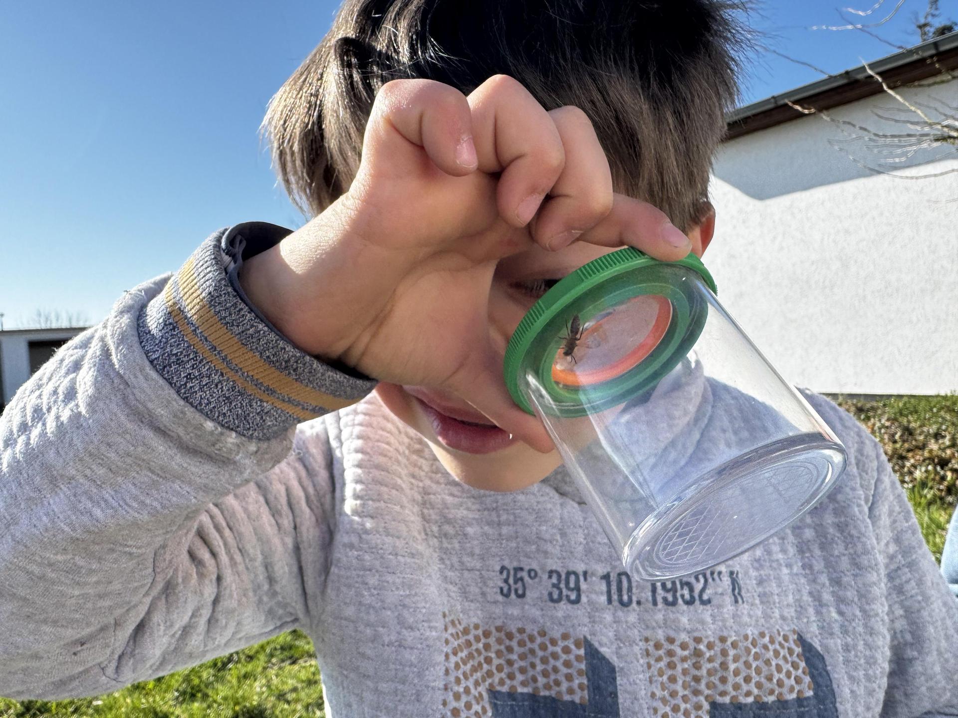 Mit dem Lupenglas Insekten beobachten - und dann wieder frei lassen. Auch das ging beim Schülertag der Firmengruppe Rösl. (Foto: Rösl)