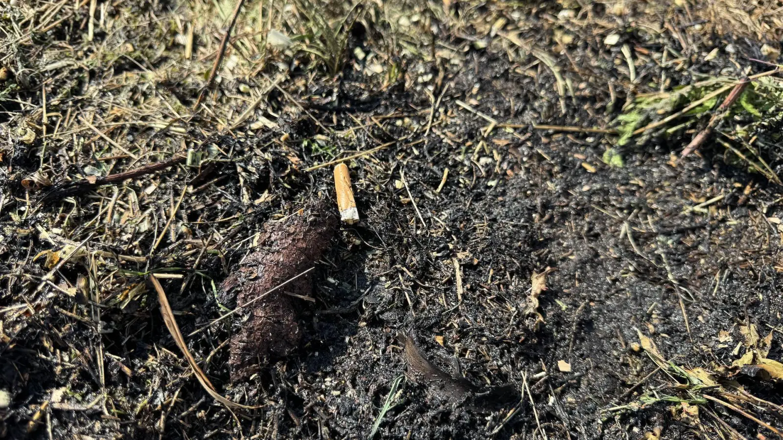 Ein Zigarettenstummel könnte Auslöser des Brandes gewesen sein.  (Foto: Daniel Große)