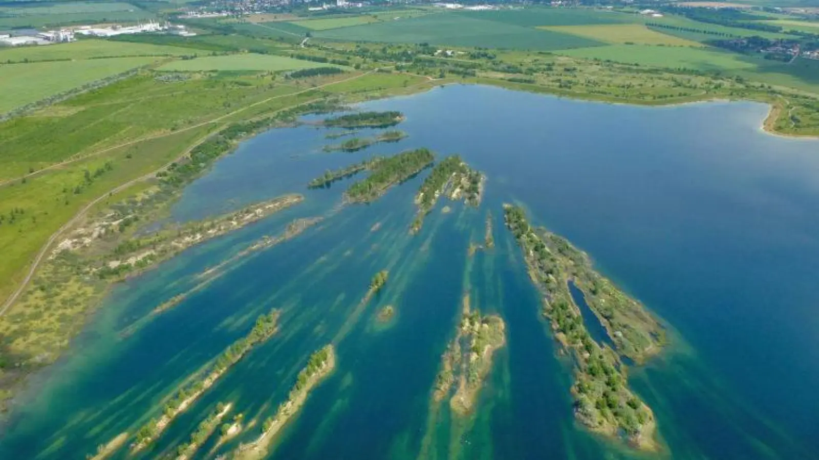 Ferienangebot: Expeditionen in das Naturschutzgebiet Werbeliner See (Foto: nordsachsen24.de)