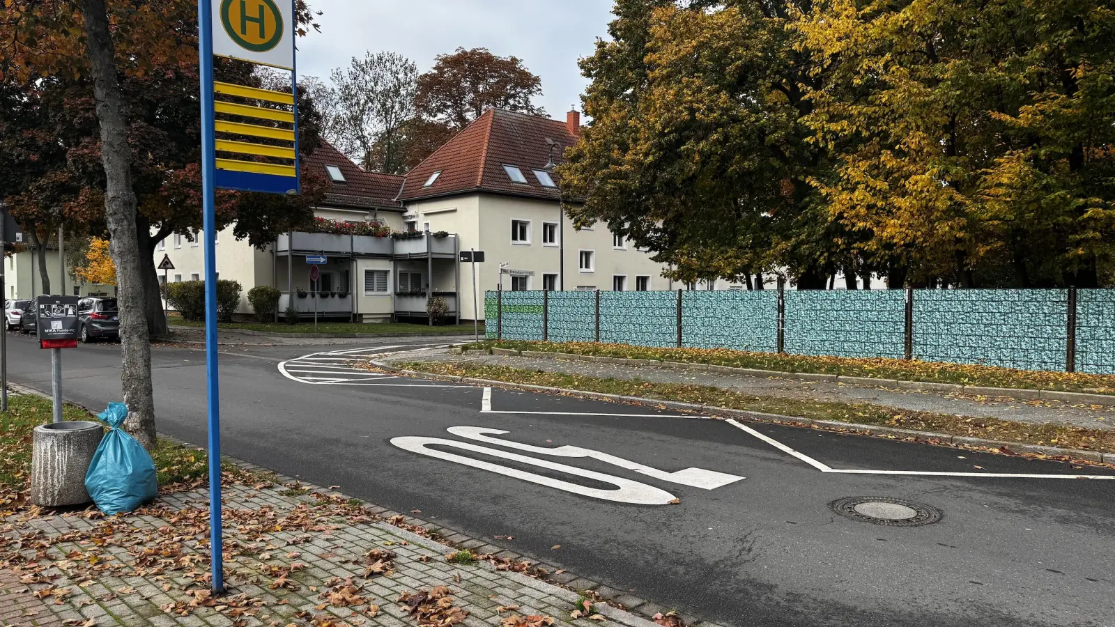 An dieser Stelle der Klebendorfer Straße soll die Querungshilfe aufgebaut werden. (Foto: Daniel Große)