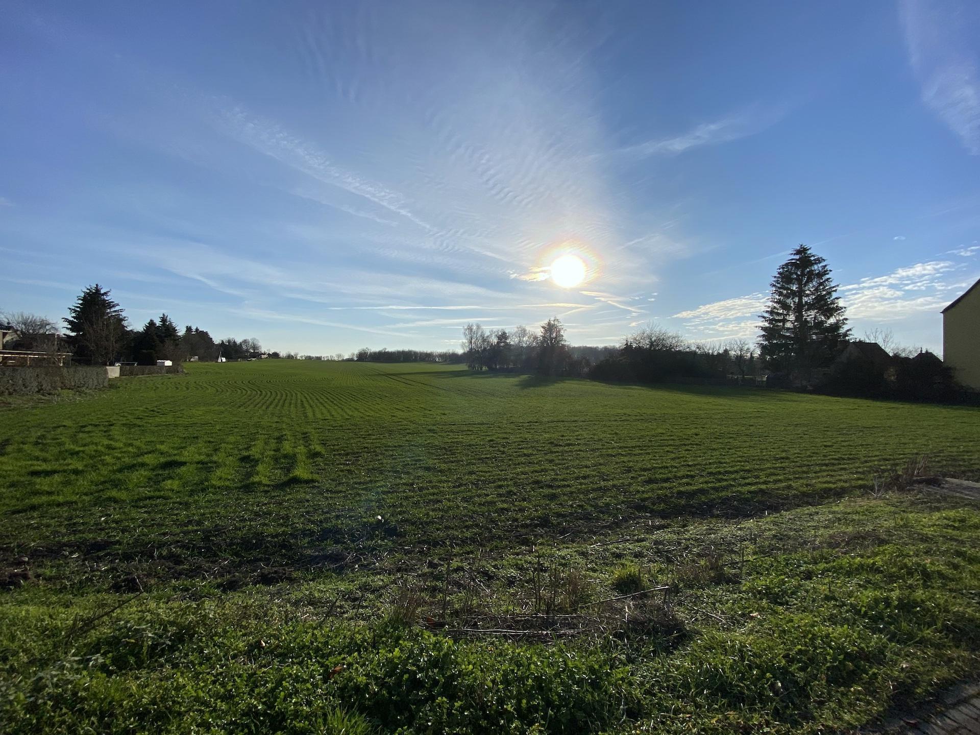 Auf dieser Landwirtschaftsfläche gegenüber den Wyn-Passagen soll die dritte Grundschule entstehen. (Foto: taucha-kompakt.de)