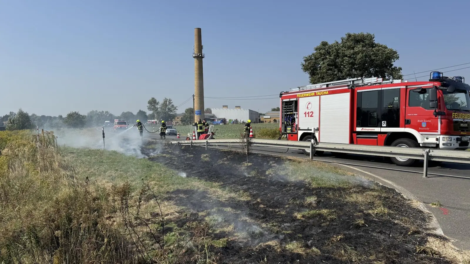 Ein Übergreifen der Flammen auf höhere Gräser, Büsche und Bäume konnte verhindert werden.  (Foto: Daniel Große)