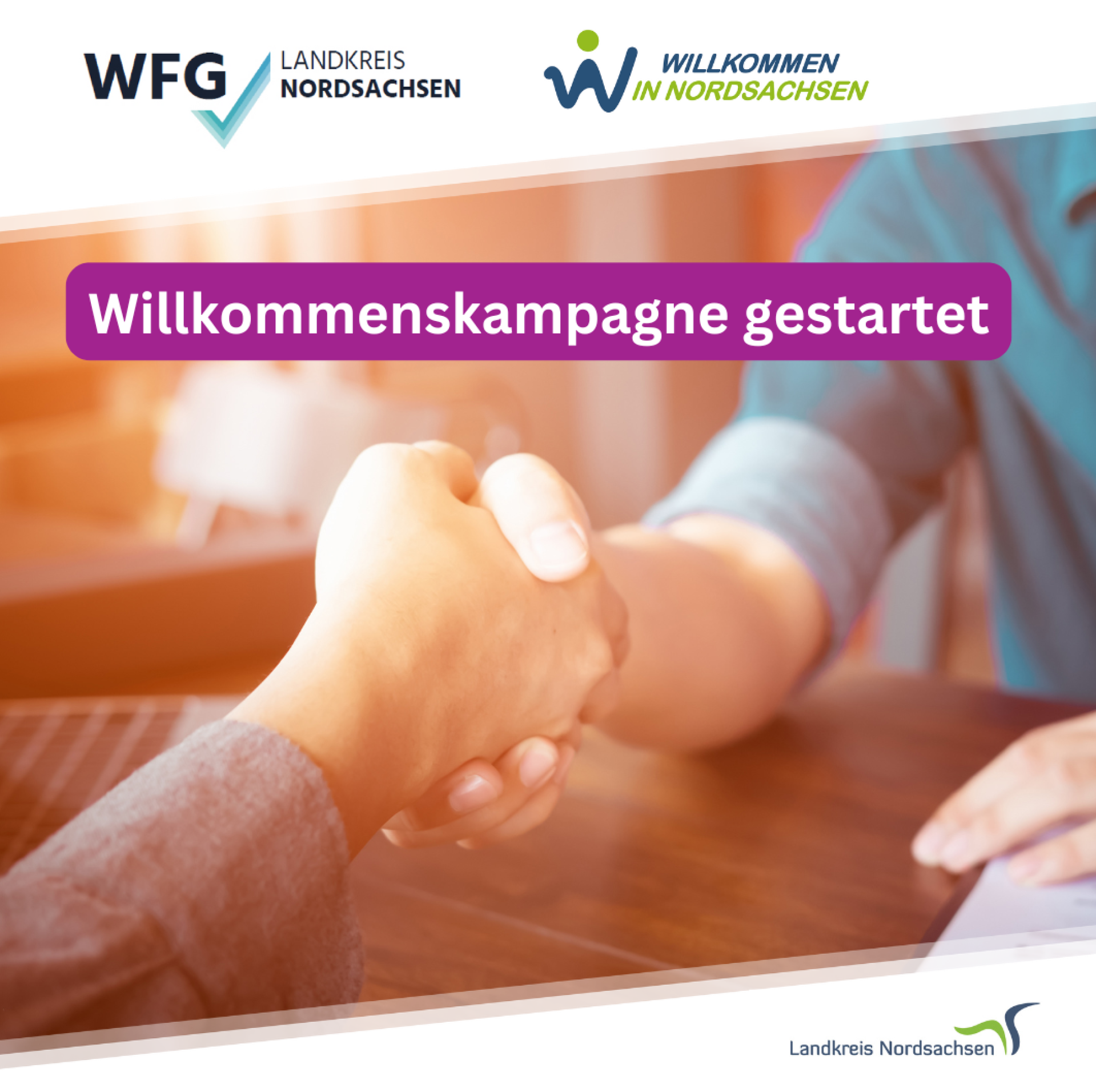 Illustration für die Willkommenskampagne (Grafik: Landratsamt Nordsachsen)