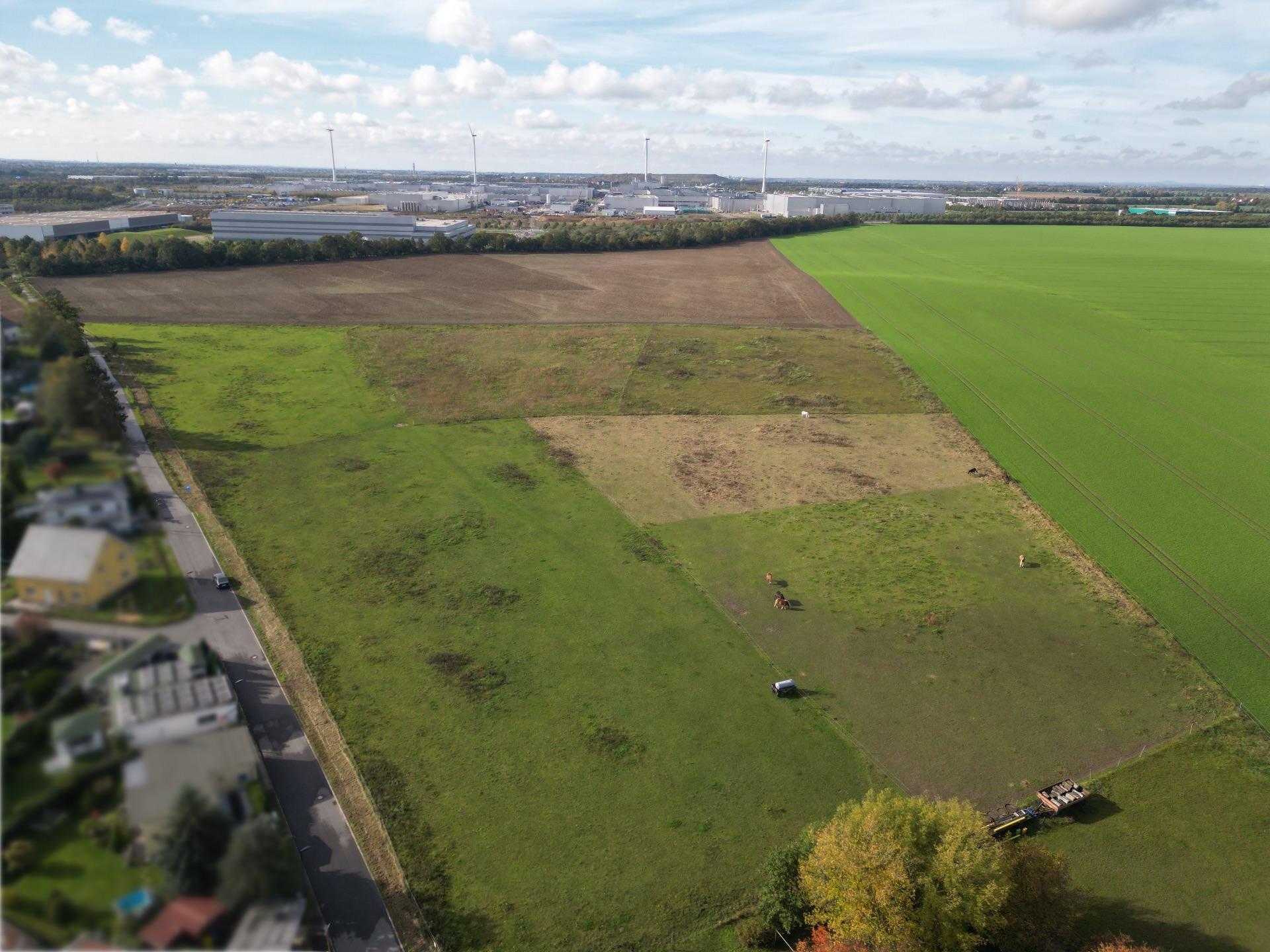 Auf diesen Flächen soll die Erweiterung des Gewerbegebiets an der BMW-Allee erfolgen. (Foto: taucha-kompakt.de)