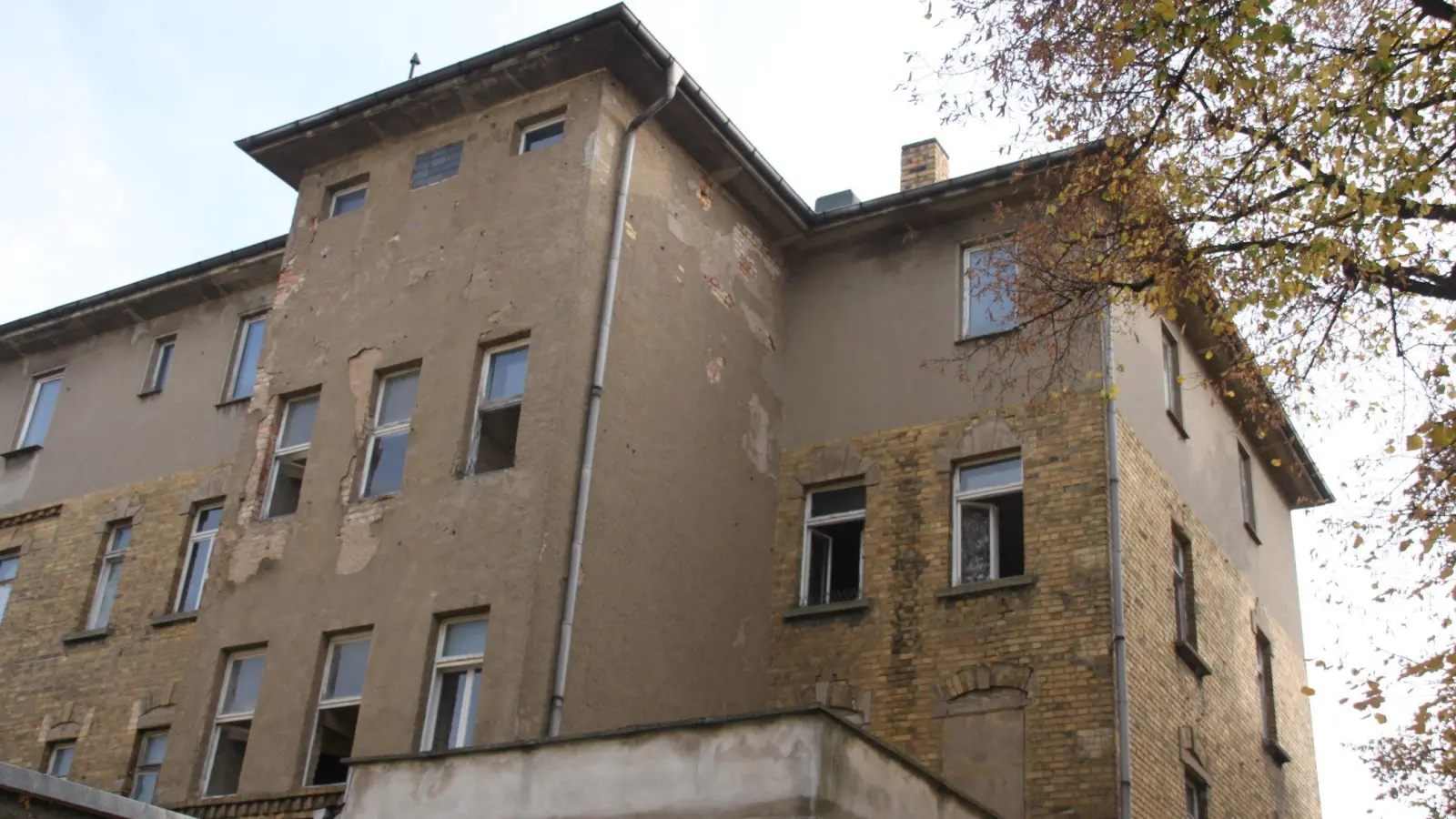 Exklusiv: Rettender Kuss für den „Kanzler“ (Foto: taucha-kompakt.de)