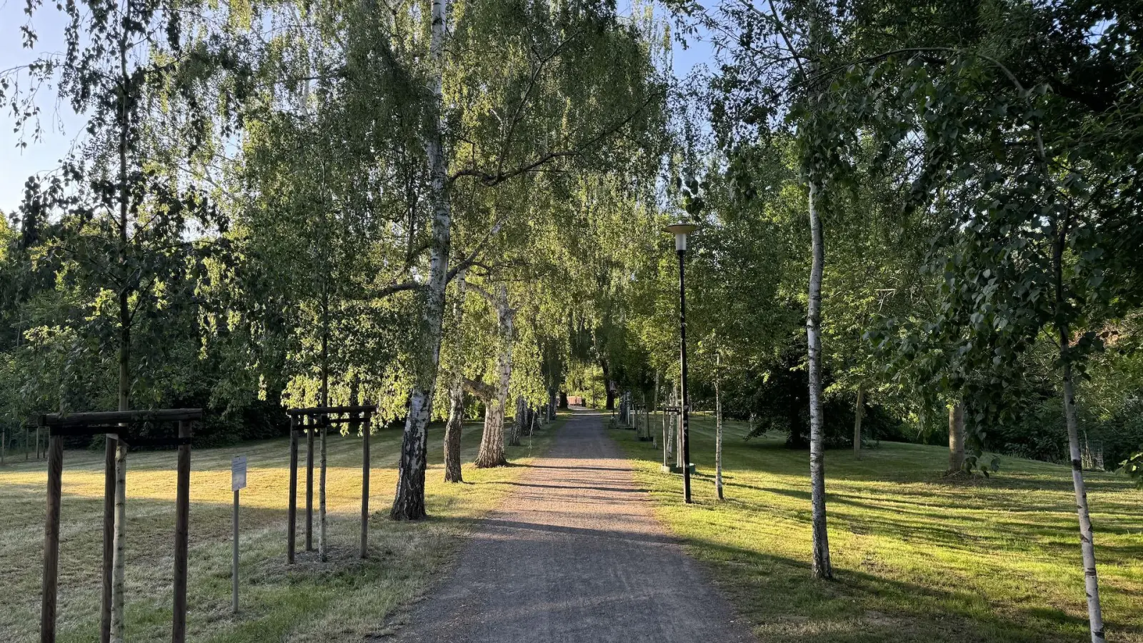 Ab Ende Juni wird der Weg in der Glockentiefe saniert. (Foto: Daniel Große)