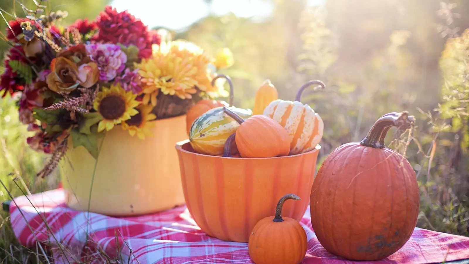 Kommentar: Aus dem Tauchaer Kartoffelfest wird endlich ein Herbstmarkt (Foto: taucha-kompakt.de)