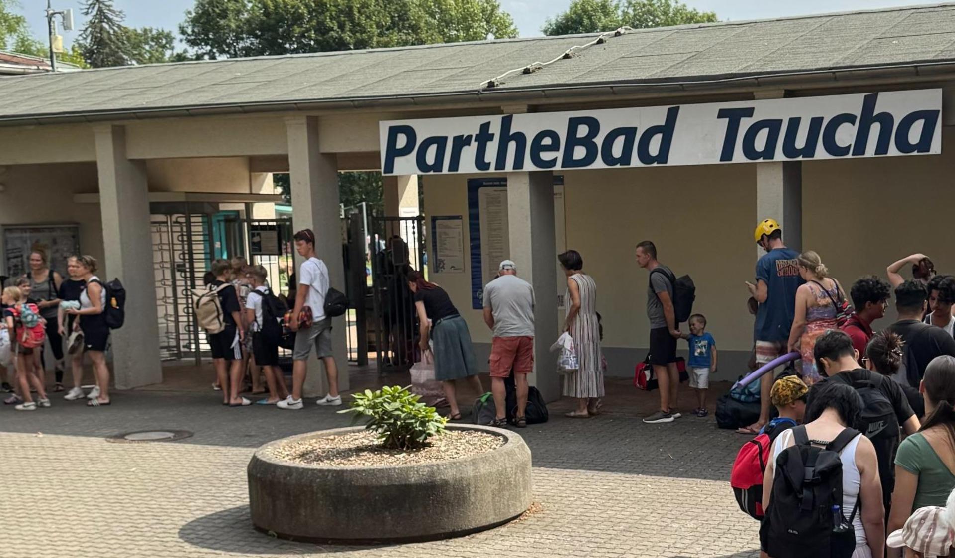 Die Rhododendren waren im Eingangsbereich des PartheBads in Steinkübeln eingepflanzt. (Foto: WOTa)