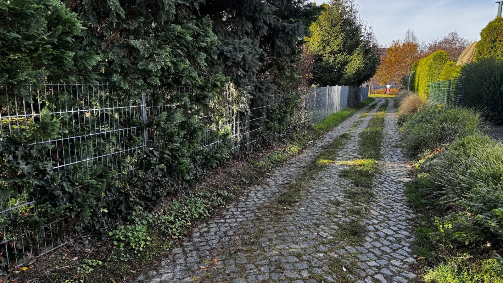 Teils gleicht die Schulgasse noch einem mittelalterlichen Weg. (Foto: Daniel Große)